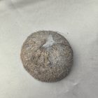 ÉKSZERTARTÓ - VALÓDI KÓKUSZDIÓ GYŰRŰTARTÓ - RÓZSASZÍN PLUMERIA VIRÁGGAL - GYANTACSODÁK