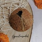 ÉKSZERTARTÓ - VALÓDI KÓKUSZDIÓ GYŰRŰTARTÓ - KAGYLÓTÖRMELÉKKEL, TENGERI CSILLAGGAL - GYANTACSODÁK